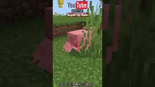 Minecraft Super OP Rain Addon #shorts #minecraft #minecrafthacks