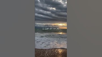 قران كريم//صدقه لى ولكم || لا إله الا الله أستغفر الله العظيم واتوب اليه سبحان الله بحمده