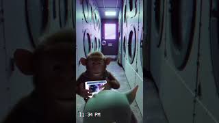 Hidden Laundromat Portal Found!