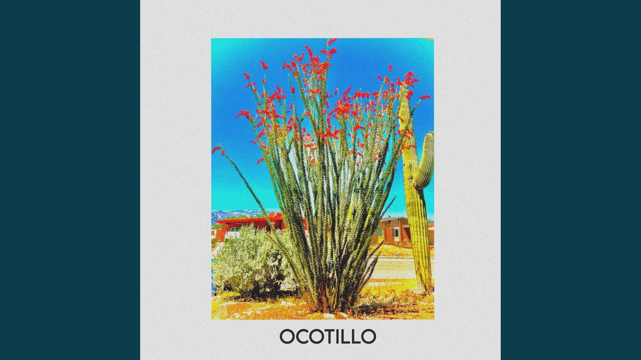 Watch Ocotillo on YouTube Watch Ocotillo on YouTube