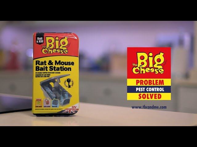 The Big Cheese - Effective Mouse Catch & Kill Pest Control Products