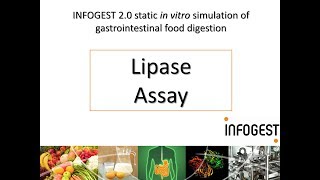 Lipase Activity Assay for the INFOGEST 2.0 Method for Food (2019 update in Nature Protocols)