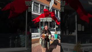 What Winter Drink Are You Grabbing First????