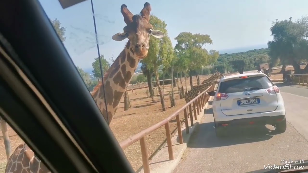 Una giornata allo zoo Safari di Fasano