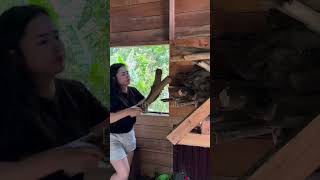 Rustic Kitchen Cleaning &amp; Firewood Prep 🪵 #shorts