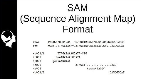Understanding SAM/BAM file specifications