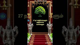 பூரட்டாதி|| 27 நட்சத்திரங்களும் அதற்கான மரங்களும்#shortsfeed#shortvideo#short#tamil#27Starsandtrees