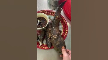 Cá lóc nướng trui chăm mắm me #food #huongviquehuong #giadinh #camvanmientay #mientay