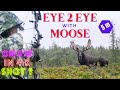 First 4K Moose and Caribou hunt