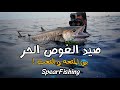 صيد الغوص الحر | بين المتعة و التعب ! Spearfishing