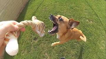 Xiaomi Yi 2 4k first slow motion test 720p/120fps from gearbest.com