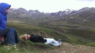 Alaska Trailer