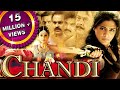 Chandi chandee hindi dubbed full movie  priyamani krishnam raju sarathkumar