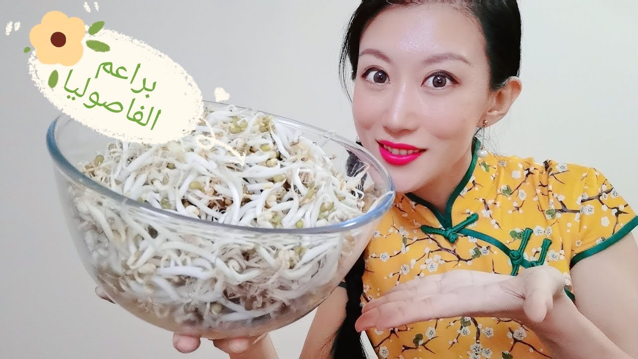 كيف نزرع براعم الفاصوليا في المنزل؟