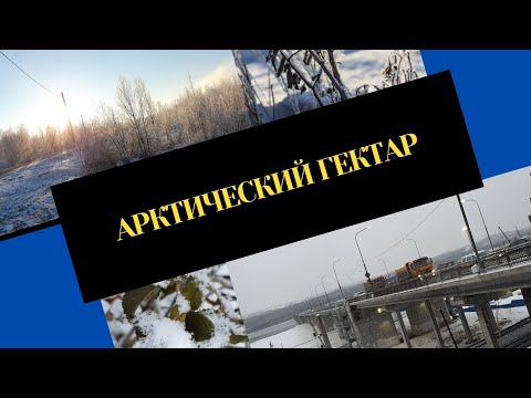 Арктический гектар