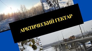 Арктический гектар