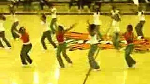 Cooper Step Team Performance 11/3/07