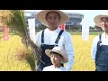 初めての稲刈りに勸玄くん&海老蔵「穫れました〜！」／新潟米「新之助」PRイベント