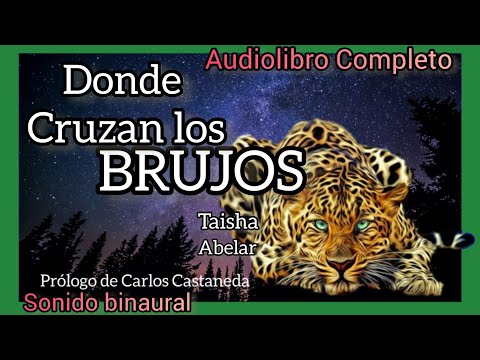 DONDE CRUZAN LOS BRUJOS - Audiolibro Completo - Música binaural -TAISHA ABELAR.