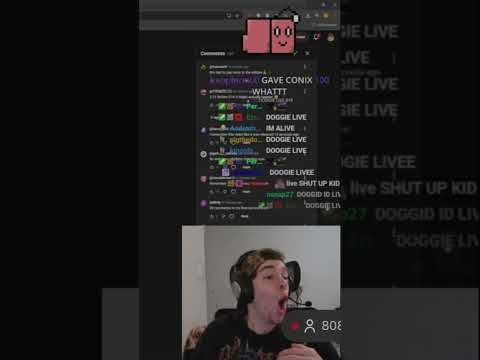 conix might be on a spectrum #doggie #geometrydash #gd #gaming #grief #conix #zoink #comedy