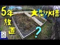 5年放置した大型水槽の水を抜いたら… エッ、まさか? ★解説ブログあり