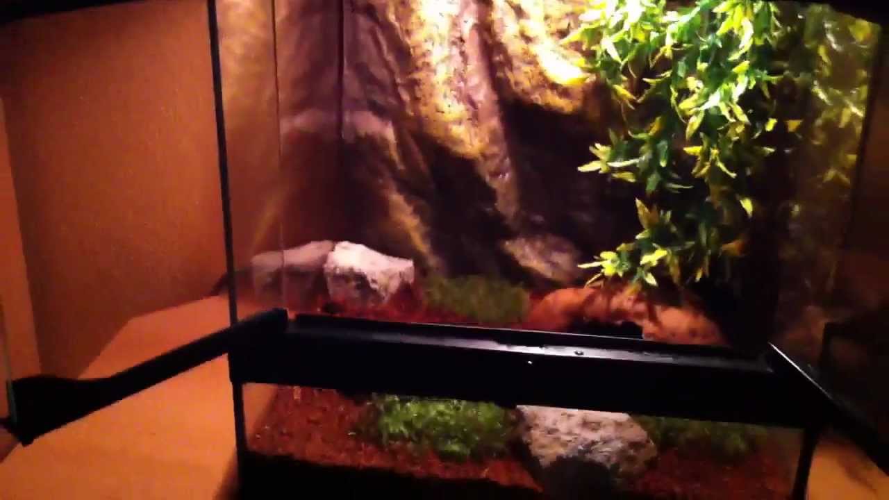 Exo Terra LED Scorpion Light
