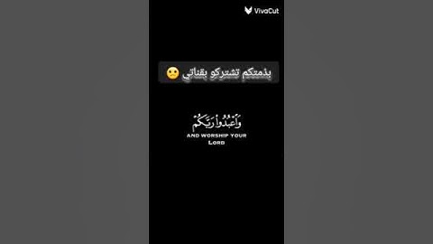 عبد الرحمن مسعد قرآن كريم راحه نفسيه #اكسبلور #دويتو #فولو #معلومات #ترند #لايك #اكسبلور #حالات_واتس