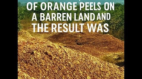 Orange Peels Could Save the World (Documentary)