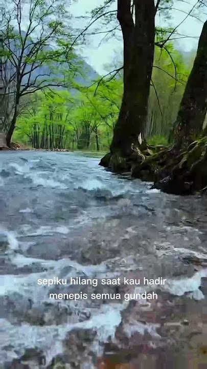 Tak Tahan Lagi - Melly Goeslaw #youtubeshorts #ytshorts #mellygoeslaw