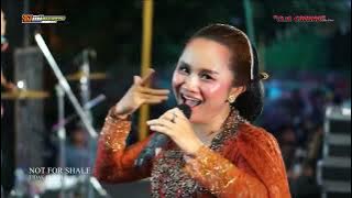 Download lagu SANTRI PEKOK (Ika Tralala) - Om. SAVANA SakJosE | DHEHAN Audio . Live in Bedagung, 2 Maret 2024