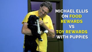 Michael Ellis on Food Rewards VS Toy Rewards with Puppies