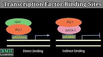 Transcription Factor Binding Sites | Locating Transcription Factor Binding Sites |