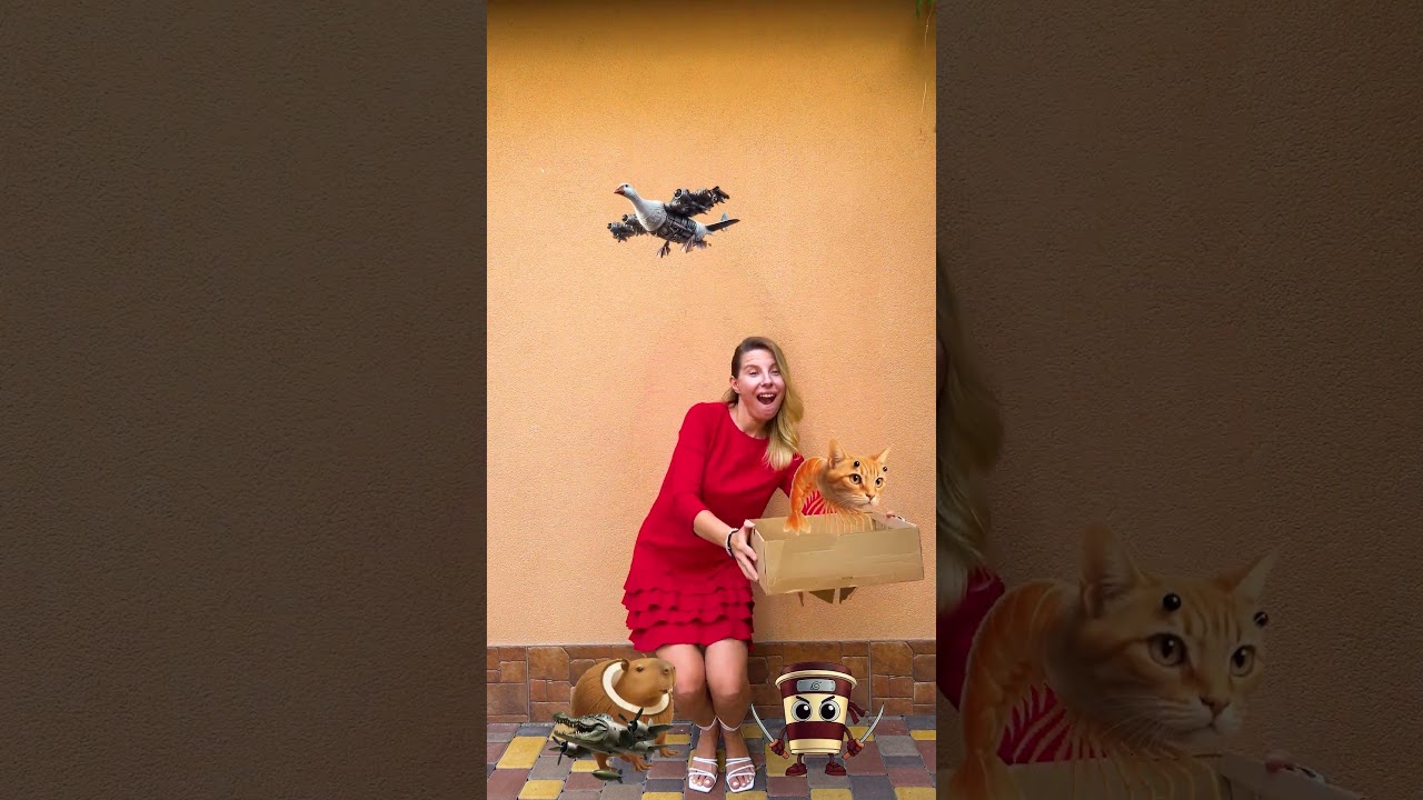 Broken box 📦 🤣😜 