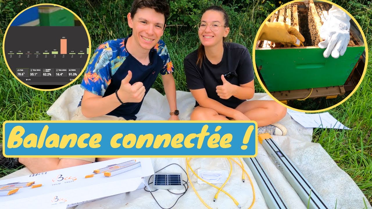 MONTAGE ET TEST DE LA BALANCE HIVE-TECH DE 3BEE DURANT UNE SAISON ! Une technologie de pointe