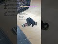 Top 5 Insane Ramp Moments 😳 #skateboarding  #skateboardvibes     #skate   #best   #skatebord