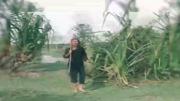 Diễn viên Diệu Ái cực xinh đẹp. Mỹ nhân thập niên 90