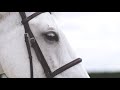 No Roots ✩ Equestrian Music Video