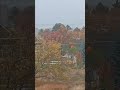 Hello Winter