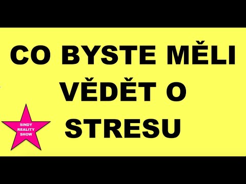 CO BYSTE MĚLI VĚDĚT O STRESU