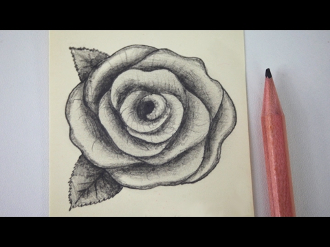 How to draw a rose - free art lesson - YouTube