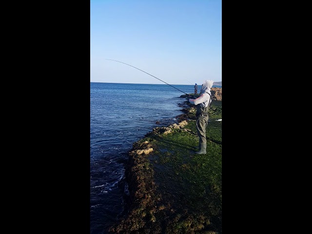 zenaq plaisir answer pa99 distance cracker - YouTube