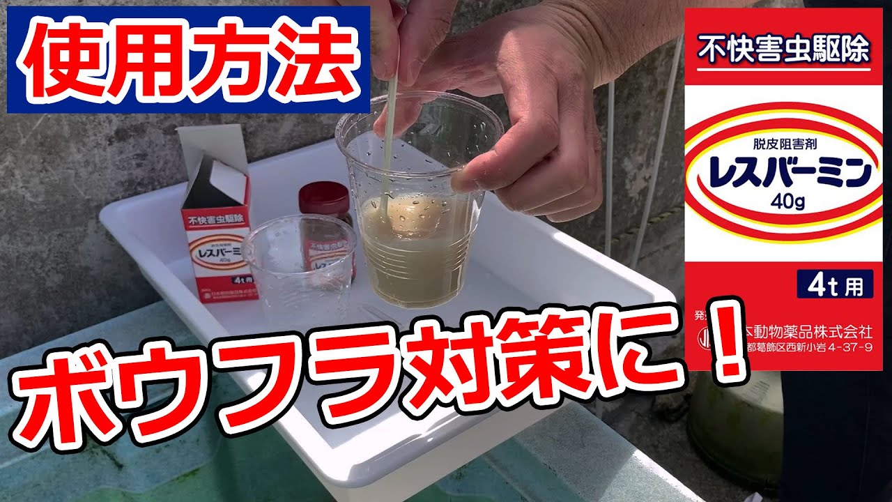 錦鯉 金魚の薬とか 店頭販売 京阪錦鯉センター