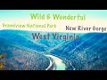 Grandview National Park & New River Gorge Day Trip | Why You Should Visit West Virginia March 2019