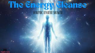 The Energy Cleanse Morphic Hygiene Shower Morphic Field