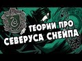 Северус Снейп (Снегг) и Лучшие Теории Фанатов