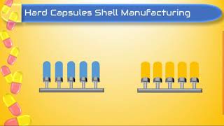 Hard Gelatin Capsule Formulation and Manufacturing Process