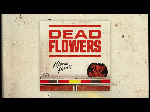 Maren Morris - Dead Flowers