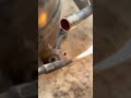 Amazing Brazing #ytshorts