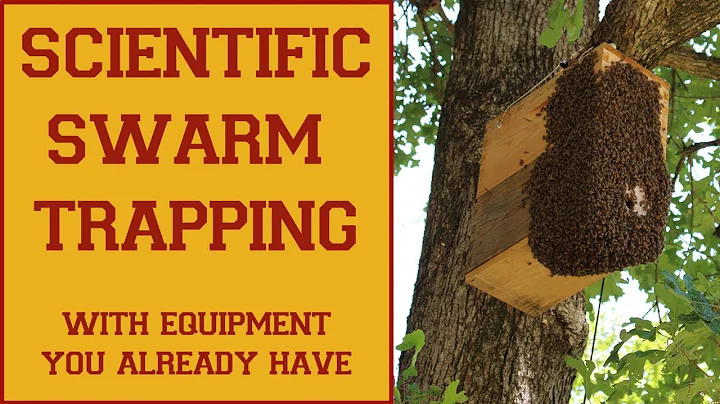 Swarm Trapping & Swarm Trap Design: Scientific Bas...