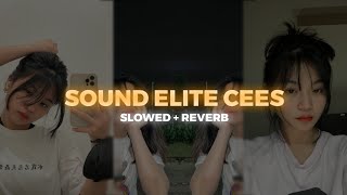 DJ SOUND ANAK ELITE CEES SLEBEW SLEMEK SLETOD SLOWED   REVERB   FULL BASS